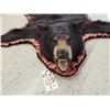 Image 2 : Black Bear Rug Taxidermy