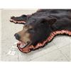 Image 3 : Black Bear Rug Taxidermy