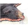 Image 4 : Black Bear Rug Taxidermy