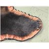 Image 5 : Black Bear Rug Taxidermy
