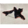 Image 9 : Black Bear Rug Taxidermy