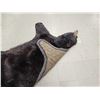 Image 10 : Black Bear Rug Taxidermy
