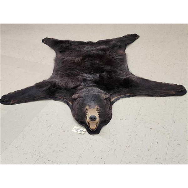 Black Bear Rug Taxidermy