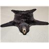 Image 1 : Black Bear Rug Taxidermy