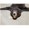 Image 3 : Black Bear Rug Taxidermy