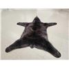 Image 9 : Black Bear Rug Taxidermy