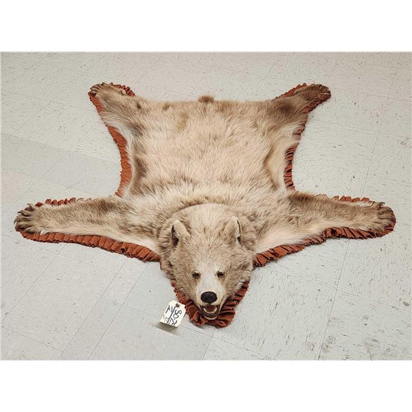 Blonde Phase Black Bear Rug Taxidermy
