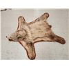 Image 2 : Blonde Phase Black Bear Rug Taxidermy