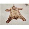 Image 3 : Blonde Phase Black Bear Rug Taxidermy