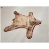 Image 4 : Blonde Phase Black Bear Rug Taxidermy