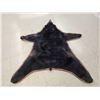 Image 10 : Black Bear Rug Taxidermy
