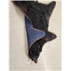 Image 11 : Black Bear Rug Taxidermy