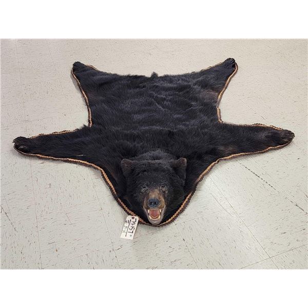 Black Bear Rug Taxidermy