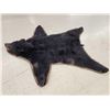 Image 2 : Black Bear Rug Taxidermy