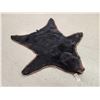 Image 3 : Black Bear Rug Taxidermy