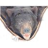 Image 4 : Black Bear Rug Taxidermy