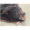 Image 5 : Black Bear Rug Taxidermy