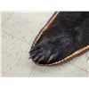 Image 8 : Black Bear Rug Taxidermy