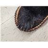 Image 9 : Black Bear Rug Taxidermy