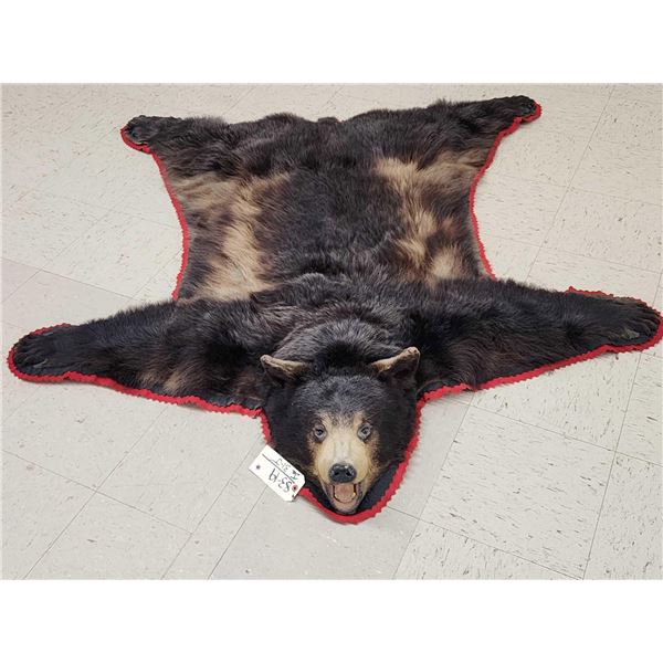 Black Bear Rug Taxidermy
