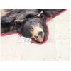 Image 2 : Black Bear Rug Taxidermy