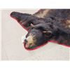 Image 3 : Black Bear Rug Taxidermy