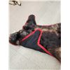 Image 6 : Black Bear Rug Taxidermy