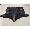 Image 1 : BIG Black Bear Rug Taxidermy