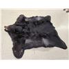 Image 2 : BIG Black Bear Rug Taxidermy