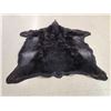 Image 3 : BIG Black Bear Rug Taxidermy