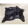 Image 5 : BIG Black Bear Rug Taxidermy