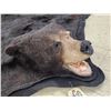 Image 6 : BIG Black Bear Rug Taxidermy