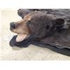Image 8 : BIG Black Bear Rug Taxidermy