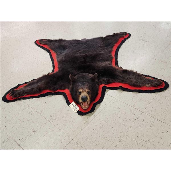 Black Bear Rug Taxidermy