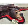 Image 3 : Black Bear Rug Taxidermy
