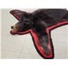 Image 5 : Black Bear Rug Taxidermy
