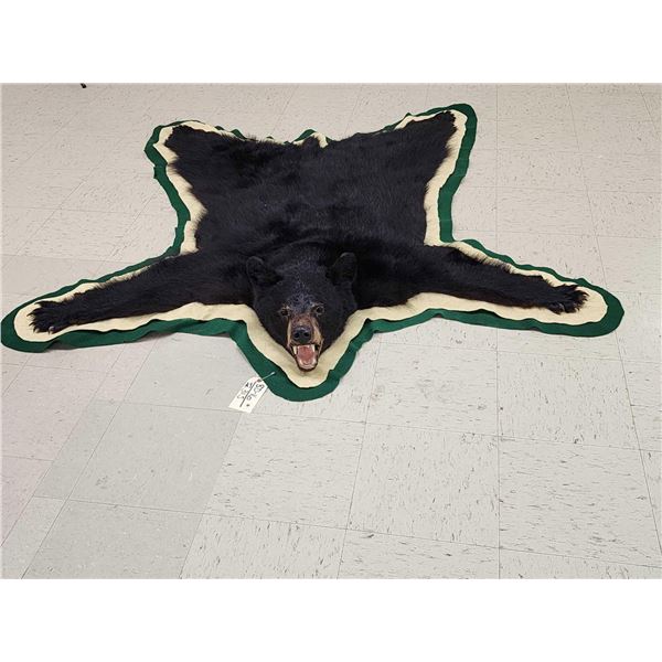 Black Bear Rug Taxidermy