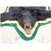 Image 2 : Black Bear Rug Taxidermy