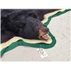 Image 4 : Black Bear Rug Taxidermy