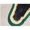 Image 6 : Black Bear Rug Taxidermy