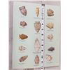 Image 1 : Collection Of 14 Arrowheads Native American Artifact