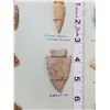 Image 2 : Collection Of 14 Arrowheads Native American Artifact