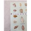 Image 6 : Collection Of 14 Arrowheads Native American Artifact