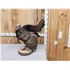 Image 2 : Strutting Turkey Full Body Bird Taxidermy