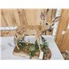 Image 4 : Whitetail Fawn Full Body Taxidermy Mount