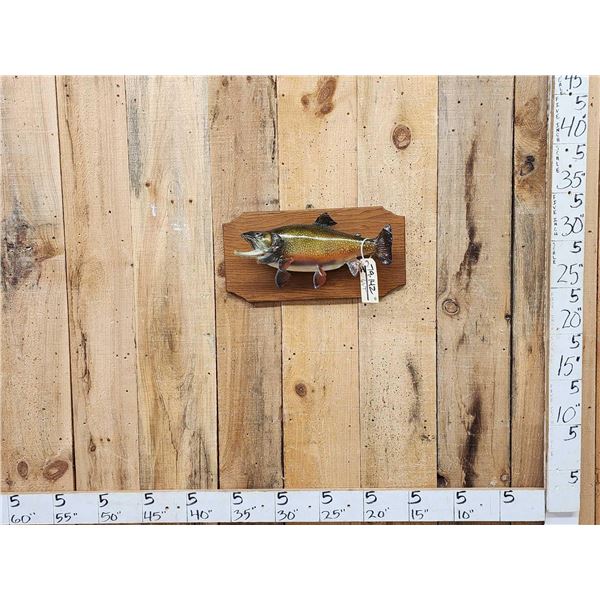 18" Brook Trout Real Skin Fish Taxidermy