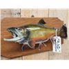 Image 2 : 18" Brook Trout Real Skin Fish Taxidermy