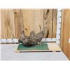 Image 1 : Pair Of  Sage Grouse Full Body Bird Taxidermy