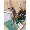 Image 4 : Pair Of  Sage Grouse Full Body Bird Taxidermy