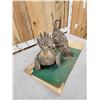 Image 6 : Pair Of  Sage Grouse Full Body Bird Taxidermy